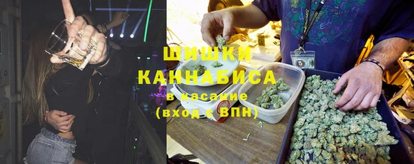 ALPHA-PVP Богородицк